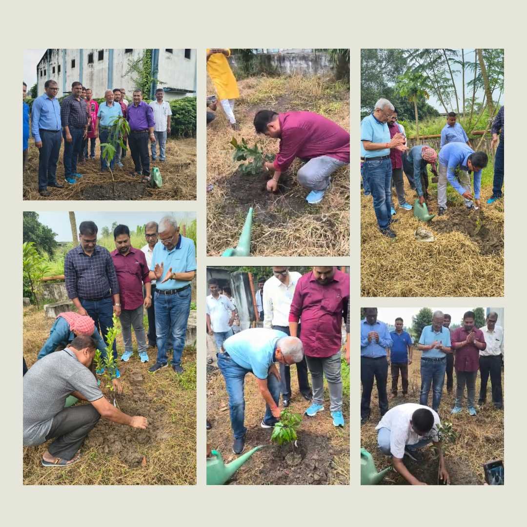 Chanda Paints Joins The Green Movement Inspired by Hon’ble Prime Minister of India Shri Narendra Modi